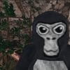 mrbobsvr