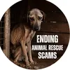 helpingthedogs
