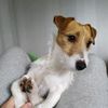 snickers_jrt