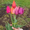 rahila_shah1