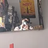 fabrizio_cardenasb