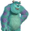 irishsully33