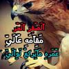 user6800041934618