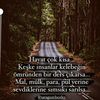 yalan_dunya369