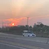 basitali_7860