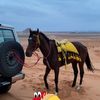 top_shamar