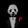 mr.pandaa