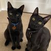 thebettsbrothers