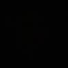 den_pro10