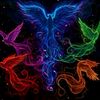user4orlr8w7aq
