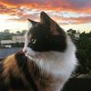 bubblez1112