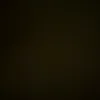 camii_cost