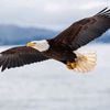 evanaidoo_29