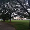 xamxamp