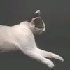 spilnama