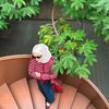 fara.soraya