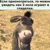 evgeni_1337