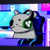 prokoala_yt