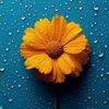 asyifaafif0