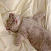 luckyyycharm_