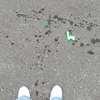 just_a_boy_from_zbk