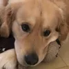 beniiiiii07
