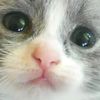 miaabdul1