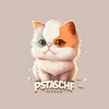 cat888sh