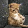 dasha_peas017