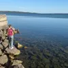 karolinkakosha00