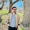 shex_zebari88