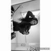 shx.tayxo