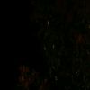user1111119s