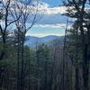 buckmtng33