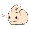 i.know.what.im.doing