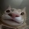 burikat91