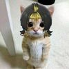 chill_guys0404