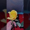 labu_83