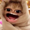 inibylaaantik