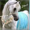 🐎أم طلال🐎