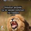 huseyn932