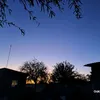 rominatrejo20