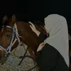 gul__3om