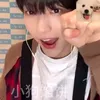 cybsjm
