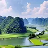 ail_ty07