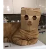 gatuhsexy555