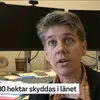 littlemalmen
