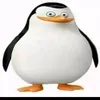 dgorsh_0