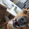 peblo..12