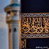 selmamed8